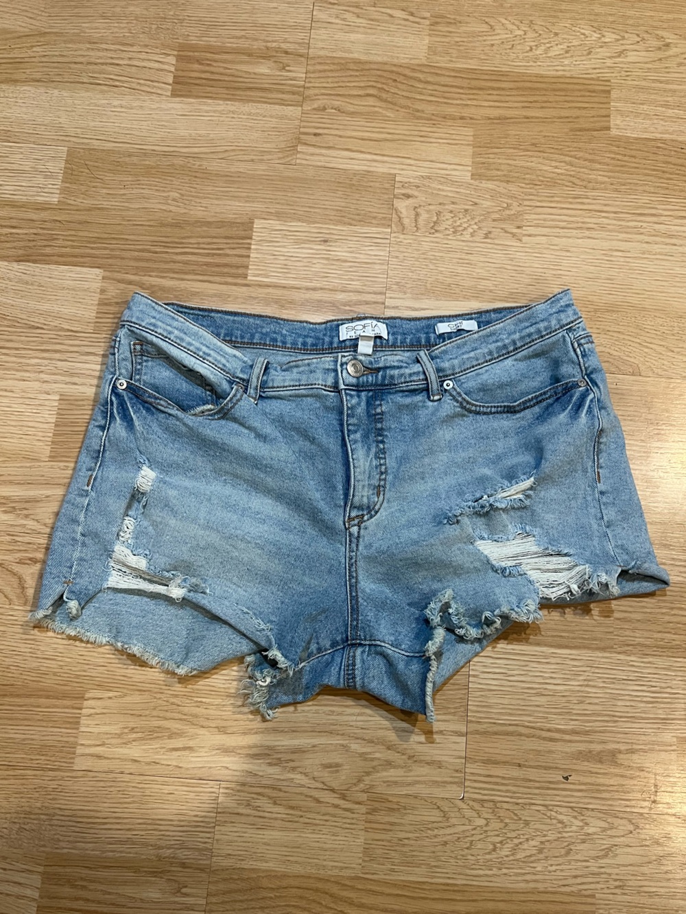Sophia Vergara Jean Shorts